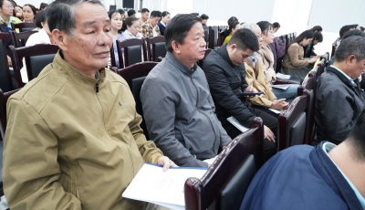 Tham dự Hội nghị tập huấn công tác tổ chức và hoạt động của các Ban bầu cử